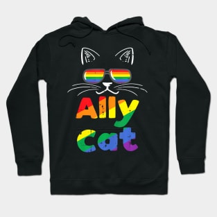 Ally Cat Pride Month Straight Ally Gay Lgbtq Lgbt Women Hoodie